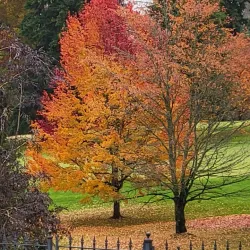 Lake Washington - Kenmore