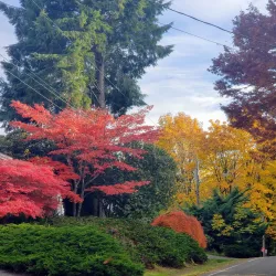 Lake Washington - Kenmore