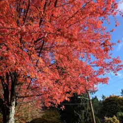Lake Washington - Kenmore