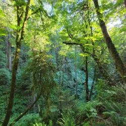 Saint Edward State Park - Kenmore