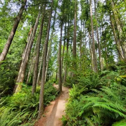 Saint Edward State Park - Kenmore