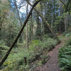 Saint Edward State Park - Kenmore