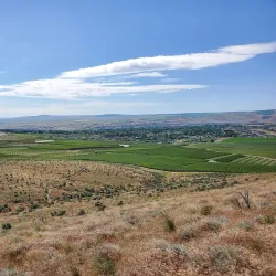 Badger Mountain Centennial Preserve - Kennewick