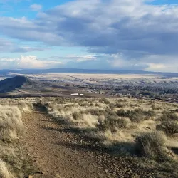 Badger Mountain Centennial Preserve - Kennewick
