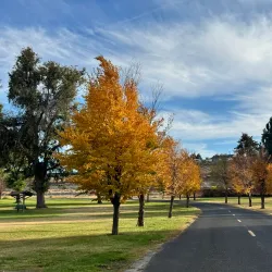 Columbia Park - Kennewick