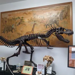 Kennewick Historical Society Museum - Kennewick