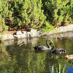 Pioneer Park - Kennewick