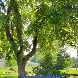 Pioneer Park - Kennewick