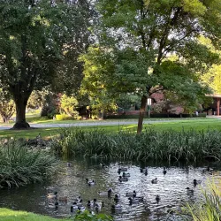 Pioneer Park - Kennewick