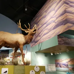 The REACH Museum - Kennewick