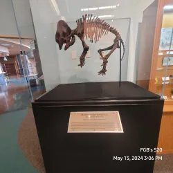 The REACH Museum - Kennewick