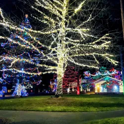 Huntamer Park - Lacey