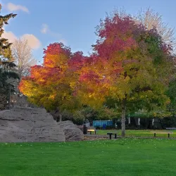 Huntamer Park - Lacey