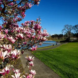 Lacey Community Center - Lacey