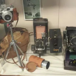 Lacey Museum - Lacey