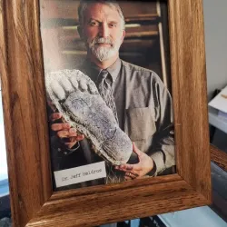 Lacey Museum - Lacey