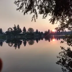 Long Lake Park - Lacey