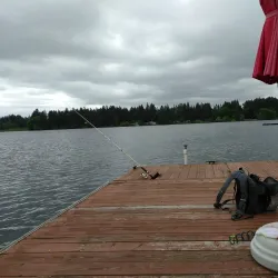 Long Lake Park - Lacey