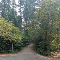 Long Lake Park - Lacey