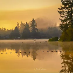 Long Lake Park - Lacey