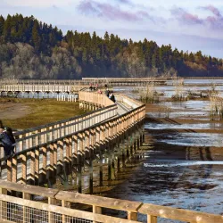 Nisqually National Wildlife Refuge - Lacey