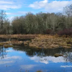Nisqually National Wildlife Refuge - Lacey