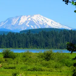 Nisqually National Wildlife Refuge - Lacey