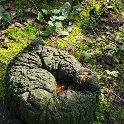 Olympia Lacey Trail - Lacey