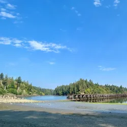 Woodard Bay Natural Resources Conservation Area - Lacey