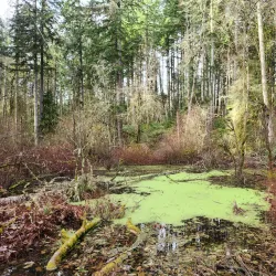 Woodard Bay Natural Resources Conservation Area - Lacey