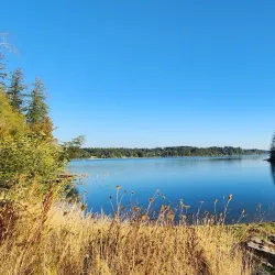 Woodard Bay Natural Resources Conservation Area - Lacey