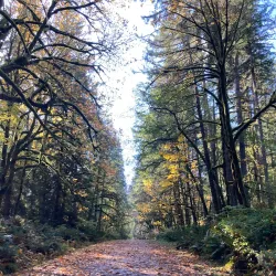 Woodard Bay Natural Resources Conservation Area - Lacey