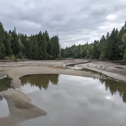 Woodard Bay Natural Resources Conservation Area - Lacey