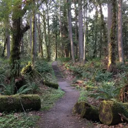 Woodard Bay Natural Resources Conservation Area - Lacey