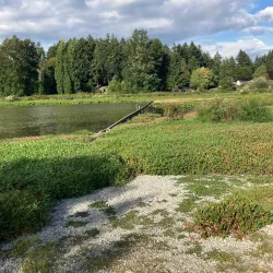 Woodland Creek Community Park - Lacey