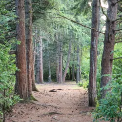 Woodland Creek Community Park - Lacey