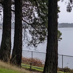American Lake Veterans Memorial Museum - Lakewood