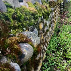 Fort Steilacoom Historical Area - Lakewood