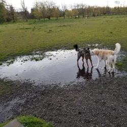 Fort Steilacoom Park - Lakewood