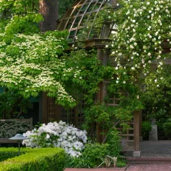 Lakewold Gardens - Lakewood