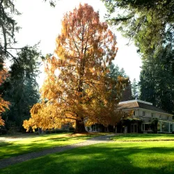 Lakewold Gardens - Lakewood