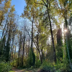 Lakewood Community Center - Lakewood