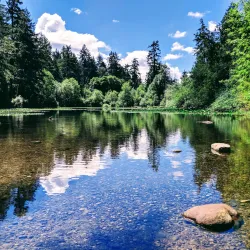 Spanaway Park - Lakewood