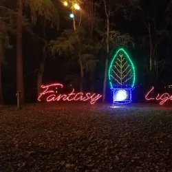 Spanaway Park - Lakewood