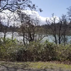 Waughop Lake Park - Lakewood