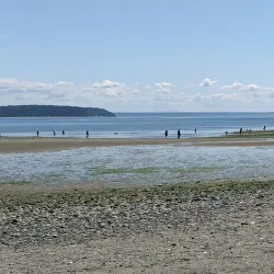 Double Bluff Beach - Langley