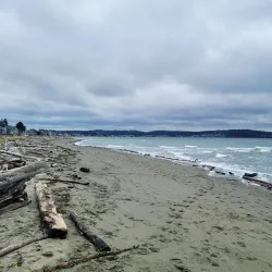 Double Bluff Beach - Langley