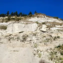 Double Bluff Beach - Langley