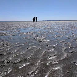 Double Bluff Beach - Langley