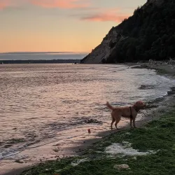 Double Bluff Beach - Langley
